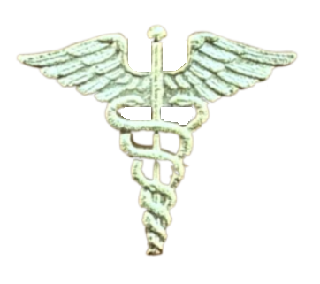 [7453010913700] PIN MEDICO DORADO                                     