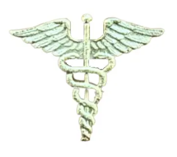 [7453010913700] PIN MEDICO DORADO                                     