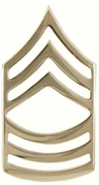 [1646] ROTHCO 1646 MSTR SARGENTO                                   